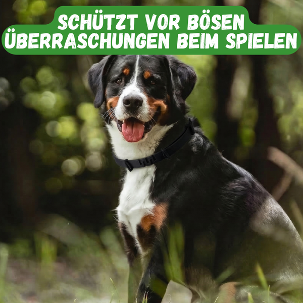 Anti-Zecken-Halsband