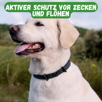 Anti-Zecken-Halsband