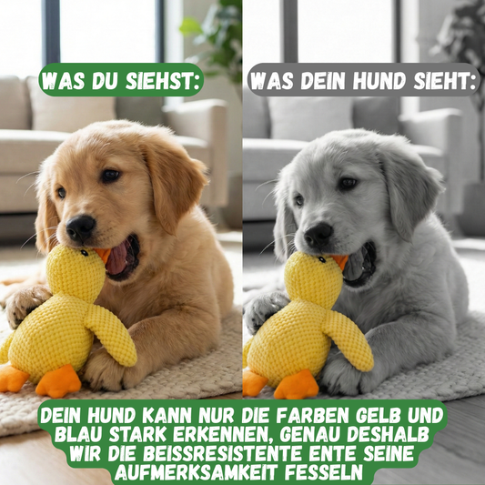 FreundeEnte