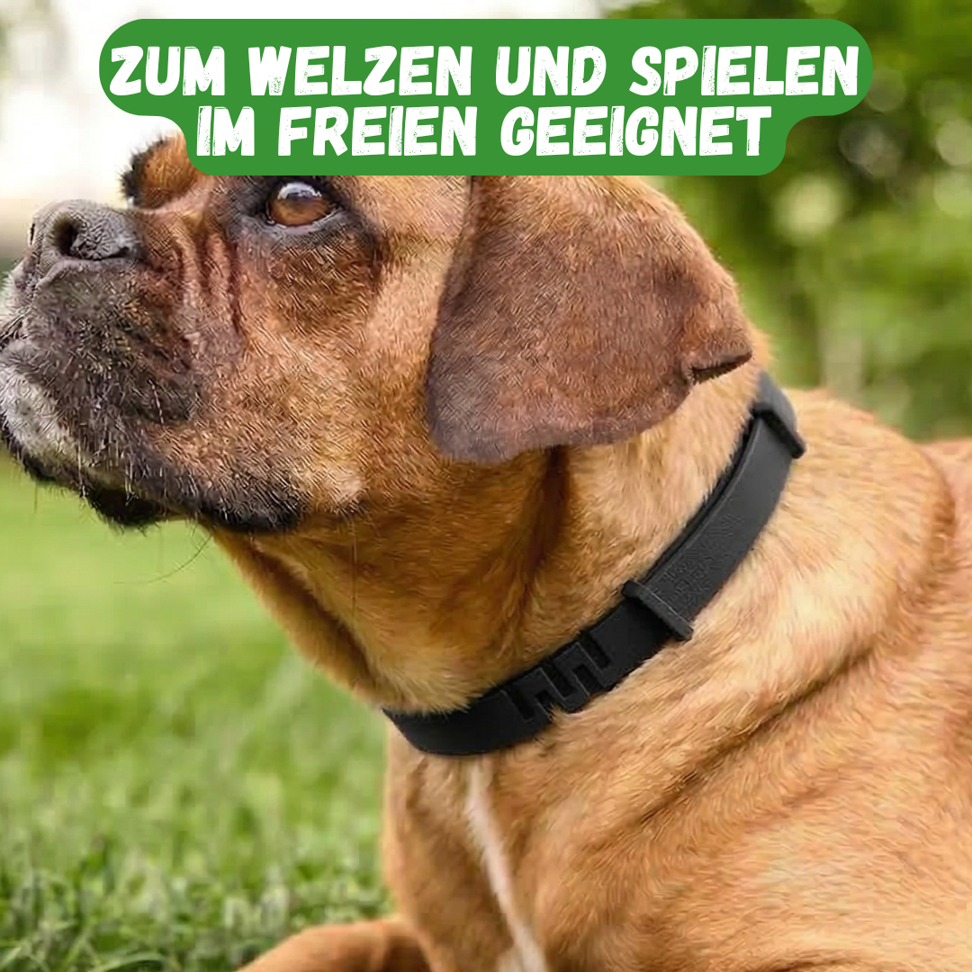 Anti-Zecken-Halsband