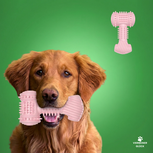 Beißresistenter Hammer