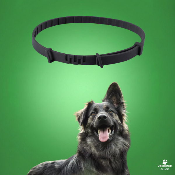 Anti-Zecken-Halsband