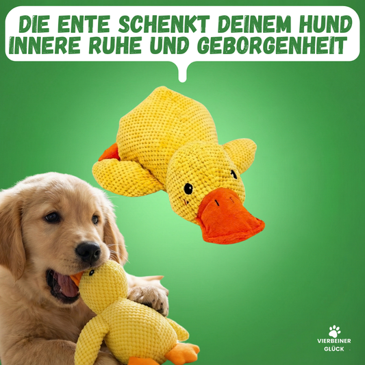 FreundeEnte